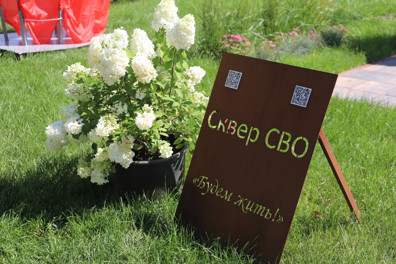 сквер1