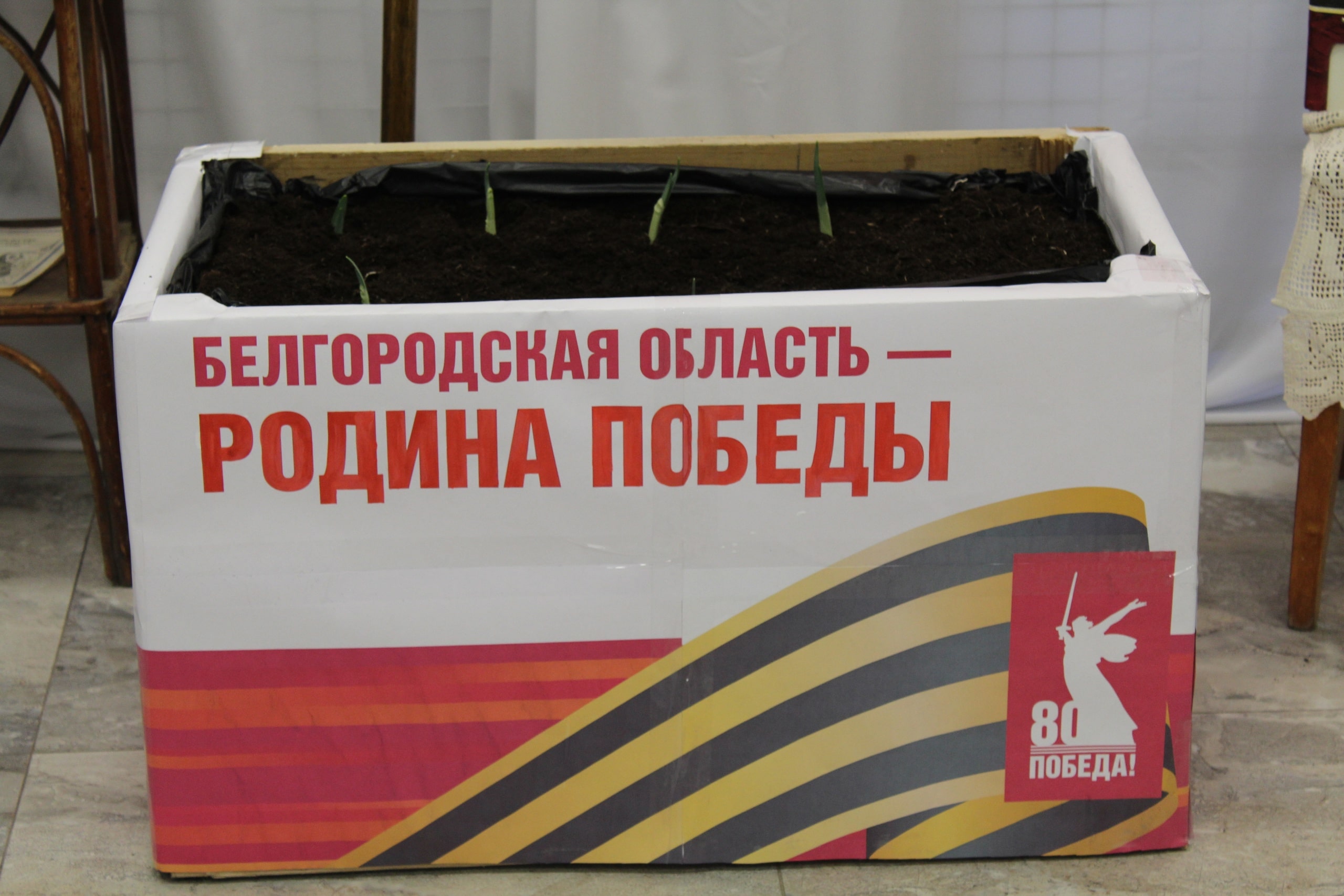цв1 min